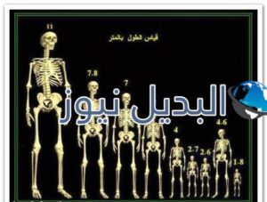 كم يبلغ طول قوم عاد وثمود