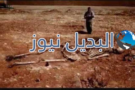 كم يبلغ طول قوم عاد وثمود