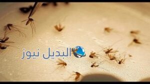 للتخلص من الصراصير والناموس والنمل والحشرات 2