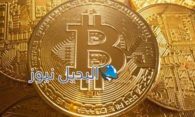 هل سترتفع البيتكوين بعد تراجعها