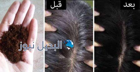 وصفة الشاي لعلاج شيب الشعر المبكر