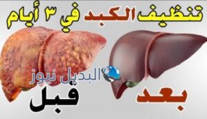 تنظيف الكبد من السموم
