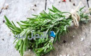 فوائد حصى البان للشعر