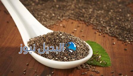 فوائد بذور الشيا لإنقاص الوزن