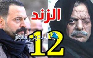 مسلسل الزند ذئب العاصي حلقة ١٢