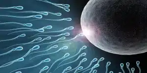 فوائد مني الرجل لجسم المرأة