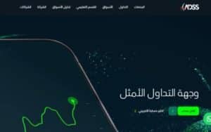 الاستثمار في السلع ومميزاته