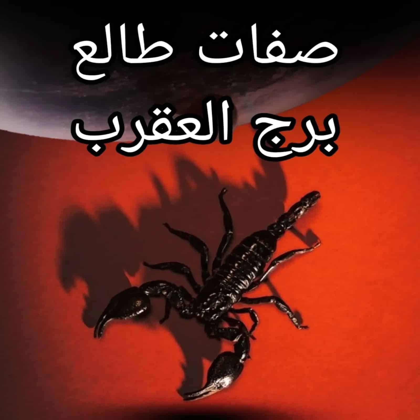 صفات برج العقرب